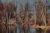 Jock River At Dawn_15516